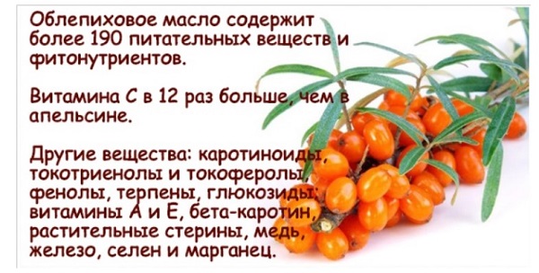 Облепиховое масло: лечебные свойства и противопоказания Облепиховое масло: лечебные свойства
